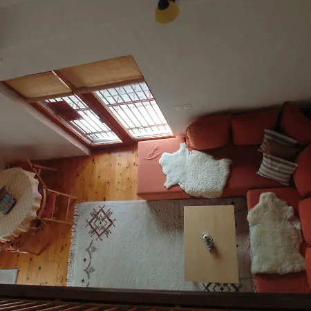 度假居 Alibegovic 维索科