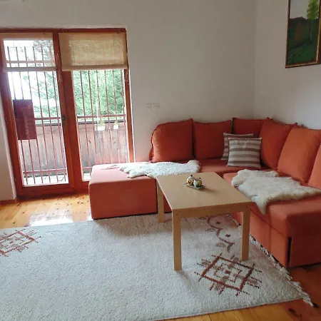 Alibegovic 维索科