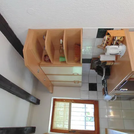 Alibegovic * 维索科