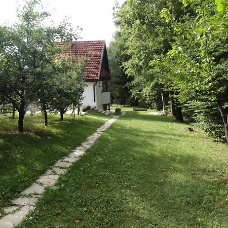 Alibegovic 维索科